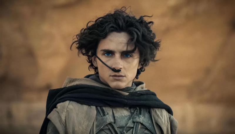 Warner Bros. не включила "Дюну 2" в важную номинацию на "Золотой глобус"